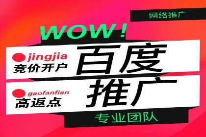 成功案例揭秘：SEM托管公司的策略与技巧